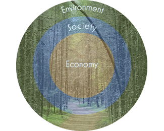 Environment, society, economy